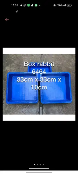 Wadah Ikan / Lobster Box Container Rabbit Biru kode 6464