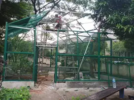 kandang burung aviary