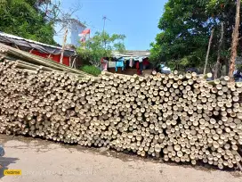 Jual bambu steger