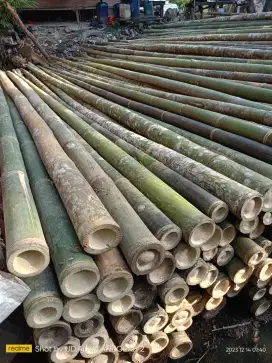 Jual bambu steger dan papan 2x20