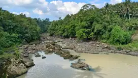 Tanah kebun buah dekat toll di tabanan bali