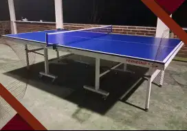 Tennis meja pingpong