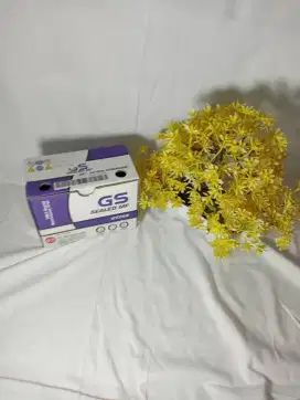 Aki gs gtz5s ori