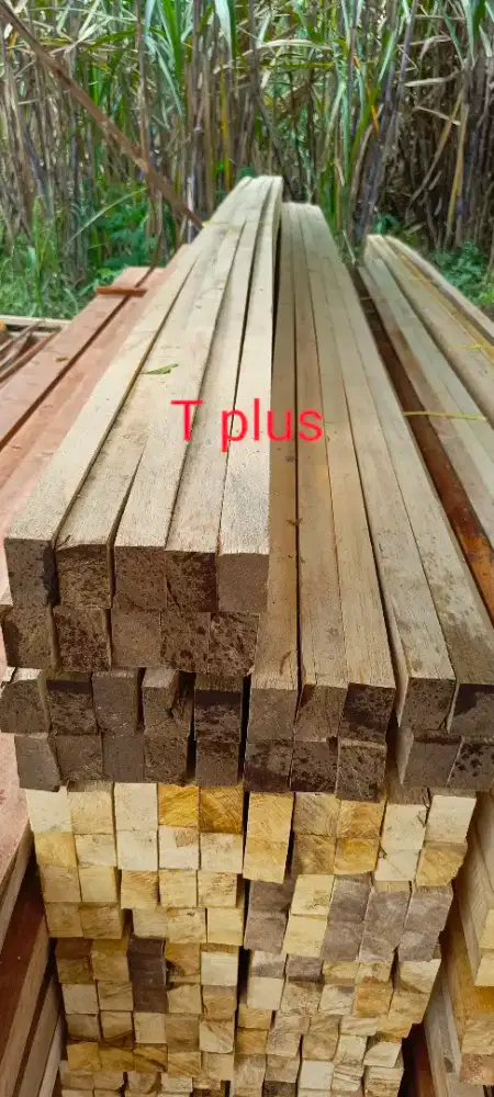 Kayu sengon usuk balok