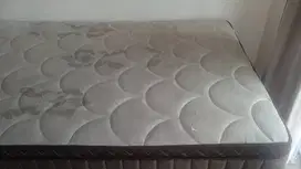 Cuci sofa, kasur, dan karpet