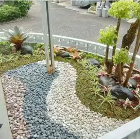 Tukang taman murah-tukang taman harga paketan