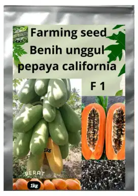BENIH PEPAYA CALIFORNIA 1kg/BIJI PEPAYA CALIFORNIA/BENIH CALIFORNIA
