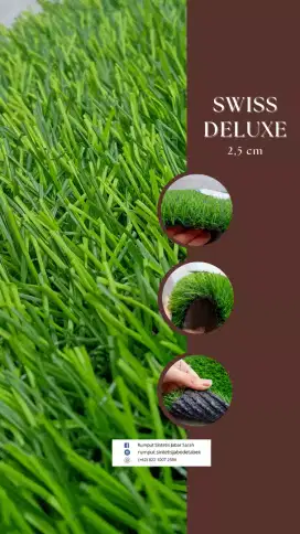 Dekorasi Taman Rumput Sintetis, Swiss Deluxe 2,5
