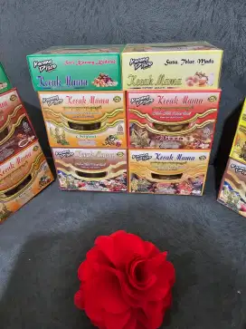 Kacang disko isi 10 kotak