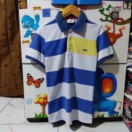 Kaos polo shirt LACOSTE striped multi colour original second