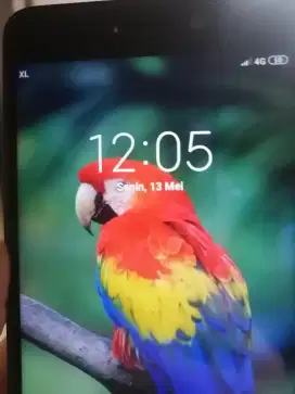 Xiaomi 4a 2 32Gb batangan