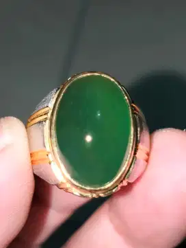 Green Serpentine Lumut Aceh Idocrase Giwang like Jadeite Jade