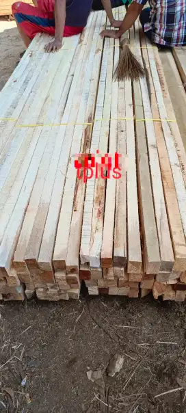 Kayu sengon untuk begisting proyek