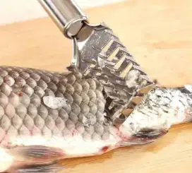 Alat pembersih sisik ikan