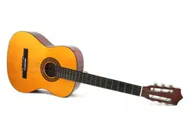 Gitar Klasik Yamaha C-315