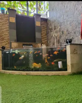 Kolam ikan minimalis murah