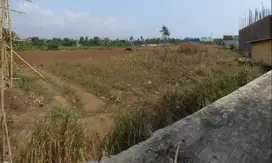 Pangilan terakhir di JLS - Cilegon Km1.8