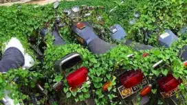 SIAP BAYAR MOTOR MATI,MOGOK,RUSAK, TIDAK TERPAKAI SEJABODETABEK