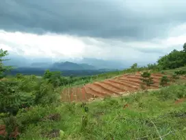 TANAH KEBUN || View Pegunungan Subang Selatan