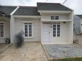 disewakan tahunan rumah