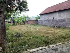 Tanah 185 m2 - Sentul, Purwodadi, Pasuruan, Jawa Timur