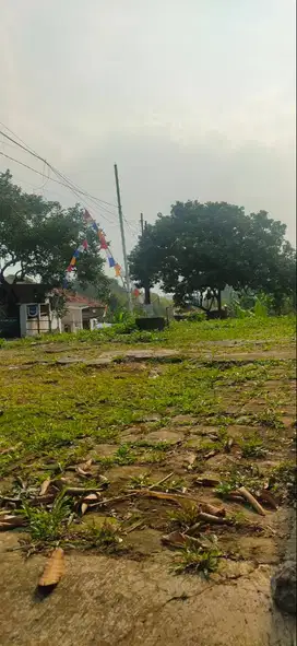 Kavling di Ngesrep Barat seberang Patung Kuda UNDIP Tembalang Semarang