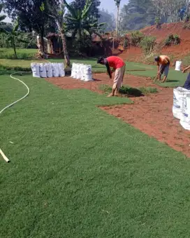 Rumput taman babat atau golf 1mtr persegi