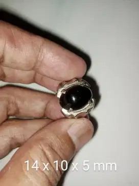 Natural Batu Bulu Macan Lumajang