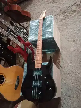 Bass elektrik pemula new