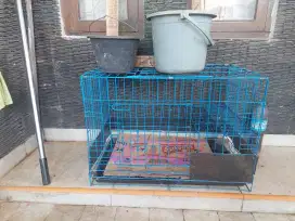 Kandang Kucing Dewasa