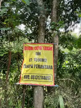 JUAL CEPAT TANAH KEBUN (SHM) 1590M2 TANPA PERANTARA