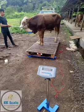 Timbangan sapi digital 2 ton