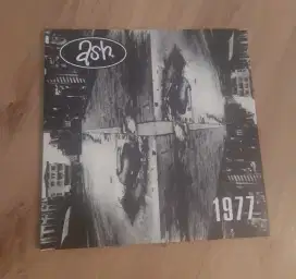 Vinyl Ash -1977