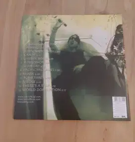 Vinyl Ash - Free All Angels
