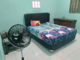 Kasur Sprimbed Empuk polll