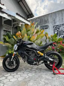 Ducati Monster 797 ABS Full Paper Modif Hedon