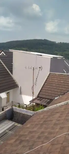 Antena nex tanpa iuran