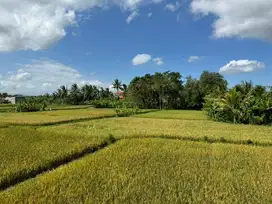 5 Are Ubud-Sayan, Near Four Season Ubud, 15 minute to Ubud Central