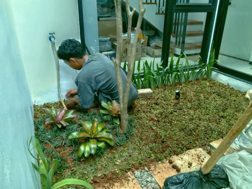 Pembuatan taman outdoor