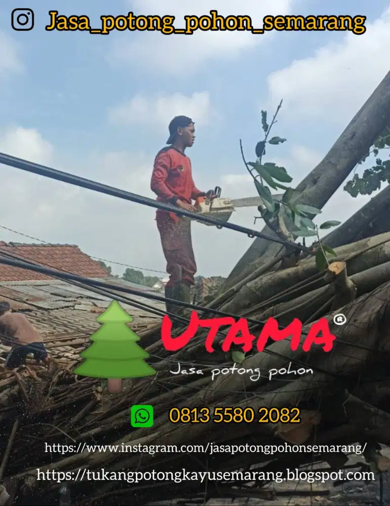 Utama jasa potong pohon Semarang