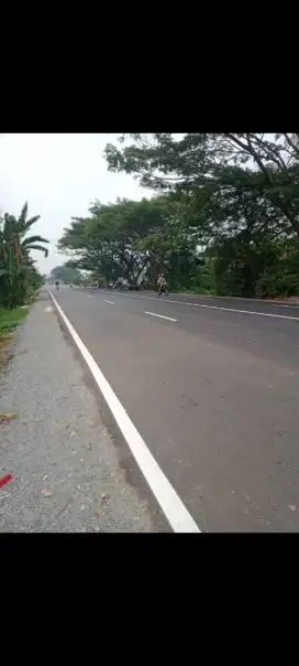 Tanah tepi jalan raya kakap pal 7 ukuran 33 x 150