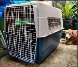 Kennel Box KN308 ukuran besar