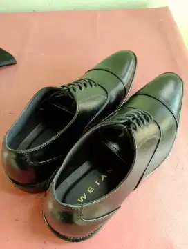 Sepatu pantofel