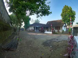 Jual Rumah Tanah Luas dekat Borobudur Cocok untuk Homestay
