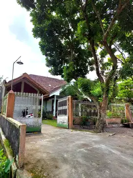 Rumah Sejuk dengan Halaman Luas dekat Kopi Rolas Pakem