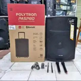 SPEAKER POLYTRON PASRPO