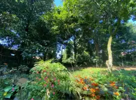 DIJUAL CEPAT!! TANAH KEBUN / VILLA 3500m2 di SUKAMANTRI, CIAPUS -BOGOR