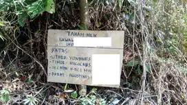 Dijual Cepat Butuh Uang Tanah Desa Nggorang Labuan Bajo, NTT
