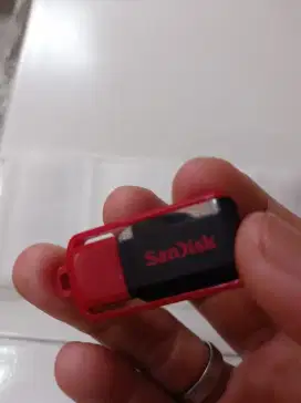 Sandisk 8GB Switch Cruizer