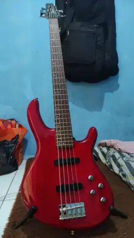 bass cort action plus 5